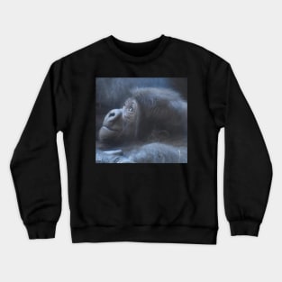 Baby Western Lowland Gorilla Crewneck Sweatshirt